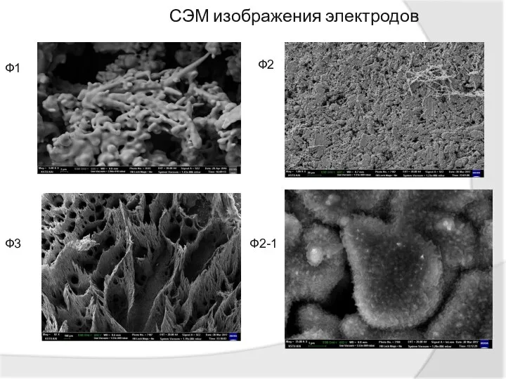 СЭМ изображения электродов Ф1 Ф3 Ф2 Ф2-1