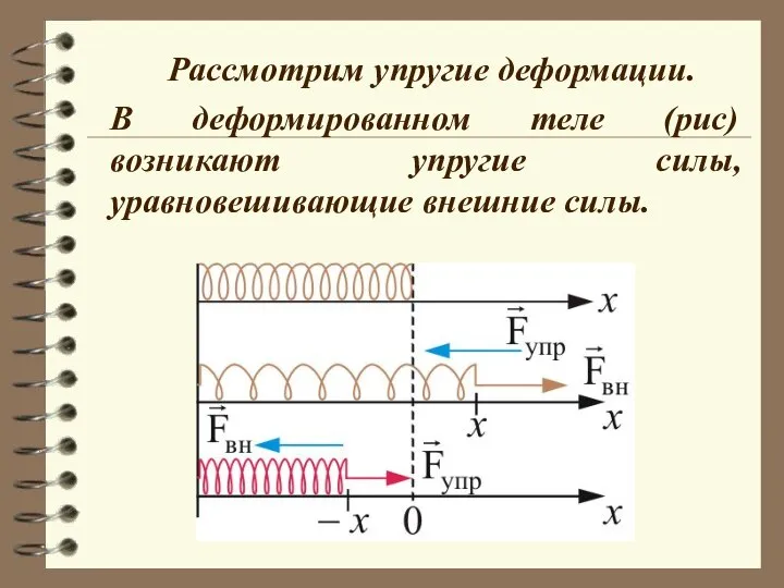 Рассмотрим упругие деформации. В деформированном теле (рис) возникают упругие силы, уравновешивающие внешние силы.