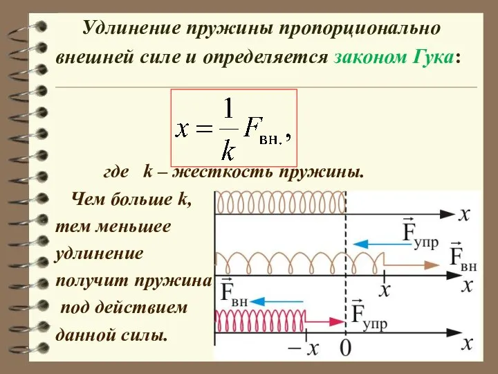 Удлинение пружины пропорционально внешней силе и определяется законом Гука: где k