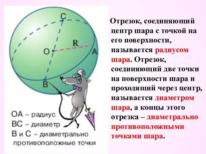 Отрезок, соединяющий центр шара с точкой на его поверхности, называется радиусом