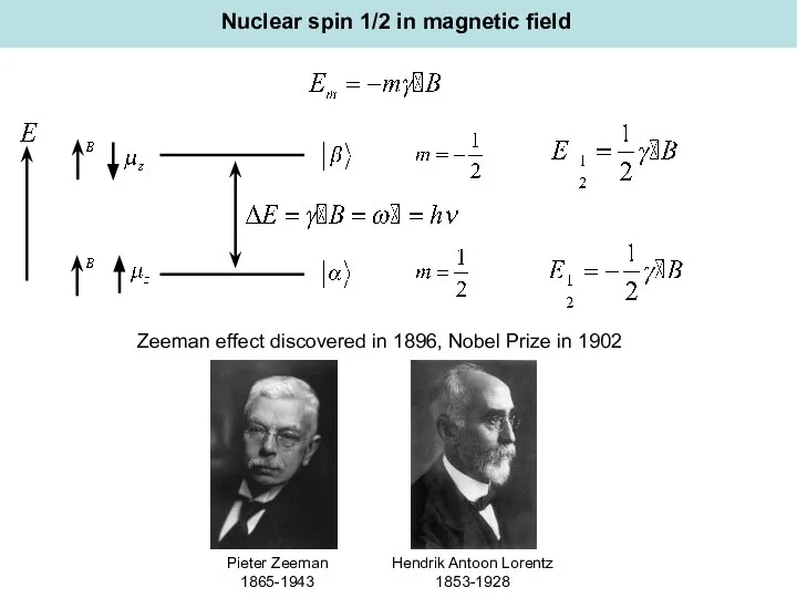 Nuclear spin 1/2 in magnetic field