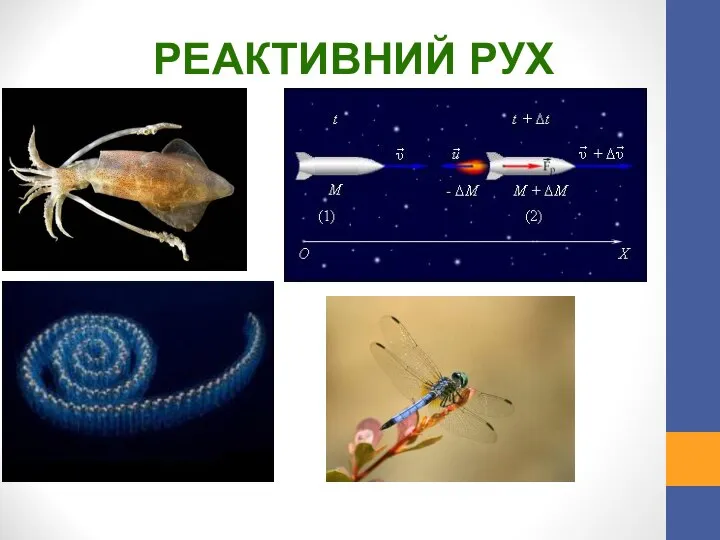 РЕАКТИВНИЙ РУХ