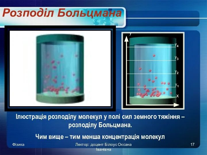 Фізика Лектор: доцент Білоус Оксана Іванівна Розподіл Больцмана Ілюстрація розподілу молекул