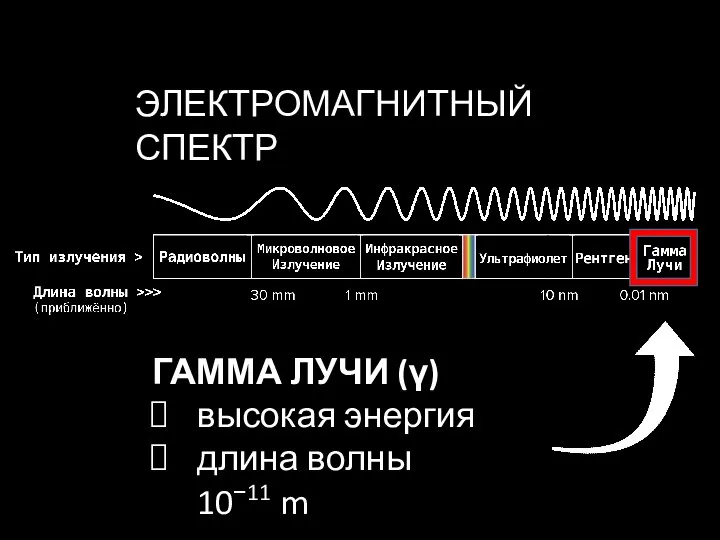 ЭЛЕКТРОМАГНИТНЫЙ СПЕКТР ГАММА ЛУЧИ (γ) высокая энергия длина волны 10−11 m