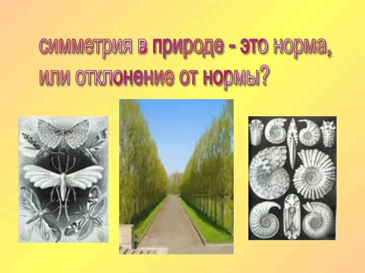 симметрия в природе - это норма, или отклонение от нормы?