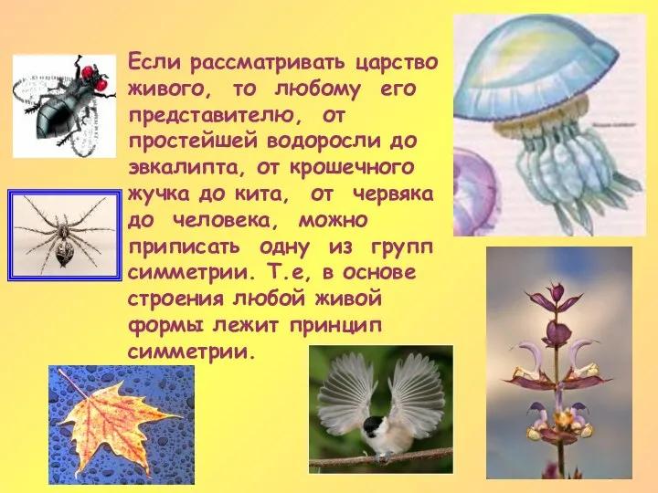 Если рассматривать царство живого, то любому его представителю, от простейшей водоросли