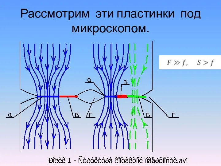 Рассмотрим эти пластинки под микроскопом.