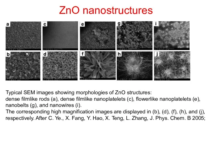 ZnO nanostructures Typical SEM images showing morphologies of ZnO structures: dense