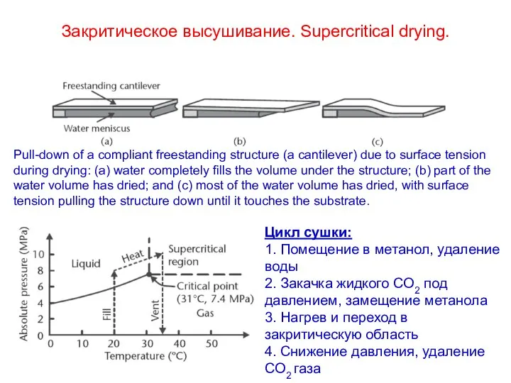 Закритическое высушивание. Supercritical drying. Pull-down of a compliant freestanding structure (a