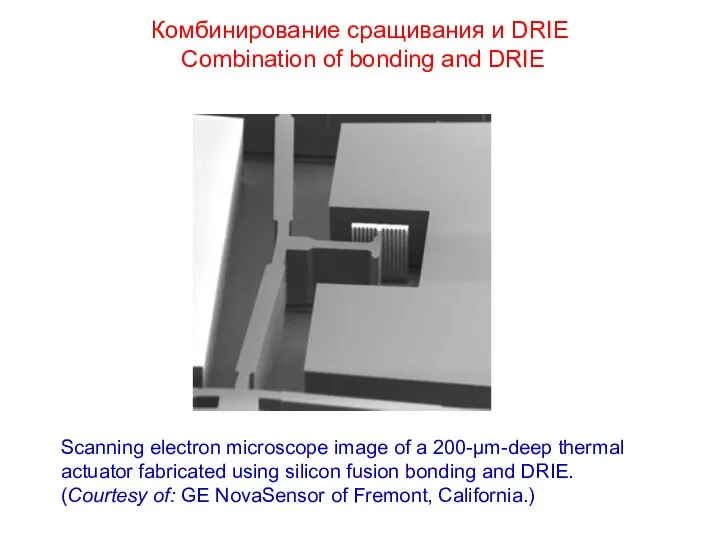 Комбинирование сращивания и DRIE Combination of bonding and DRIE Scanning electron