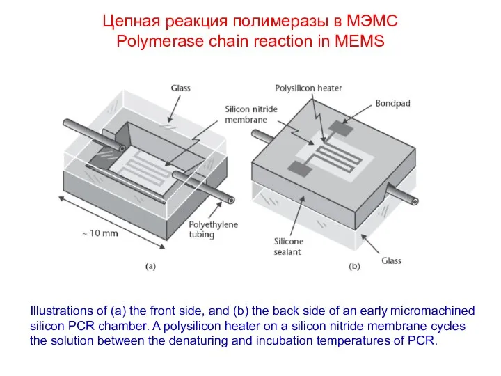 Цепная реакция полимеразы в МЭМС Polymerase chain reaction in MEMS Illustrations