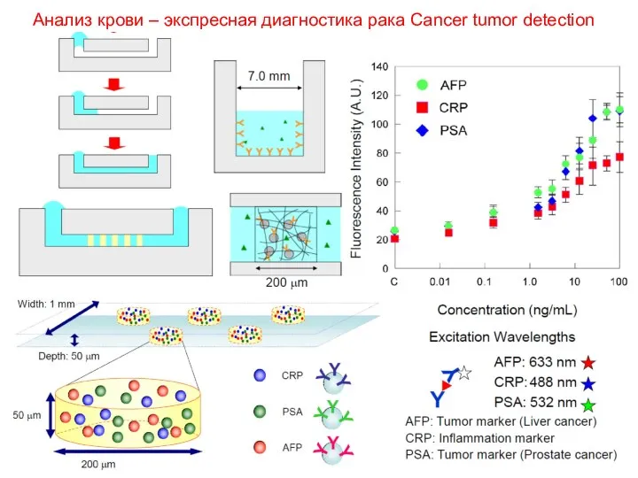 Анализ крови – экспресная диагностика рака Cancer tumor detection