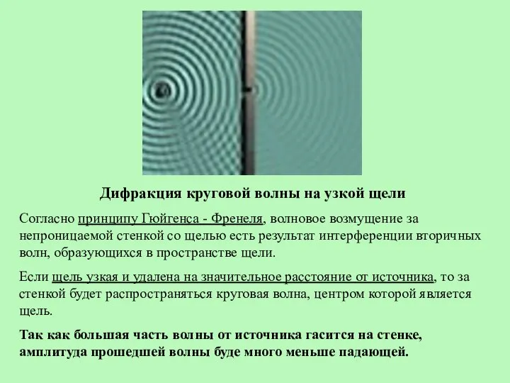 Дифракция круговой волны на узкой щели Согласно принципу Гюйгенса - Френеля,