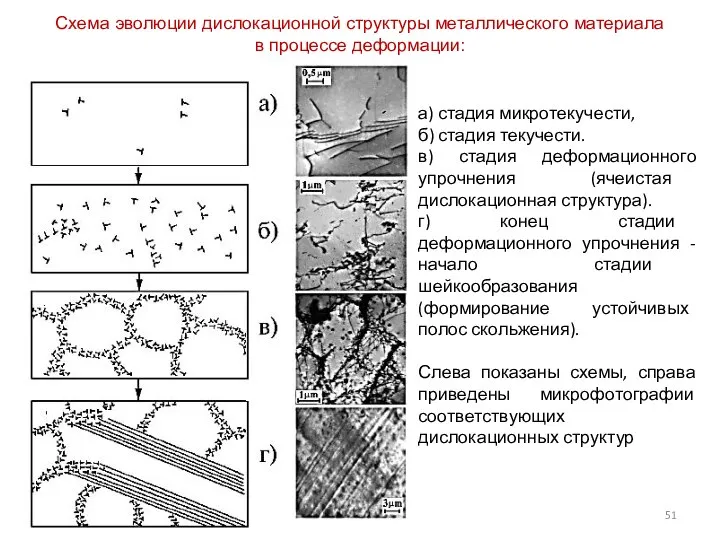 а) стадия микротекучести, б) стадия текучести. в) стадия деформационного упрочнения (ячеистая