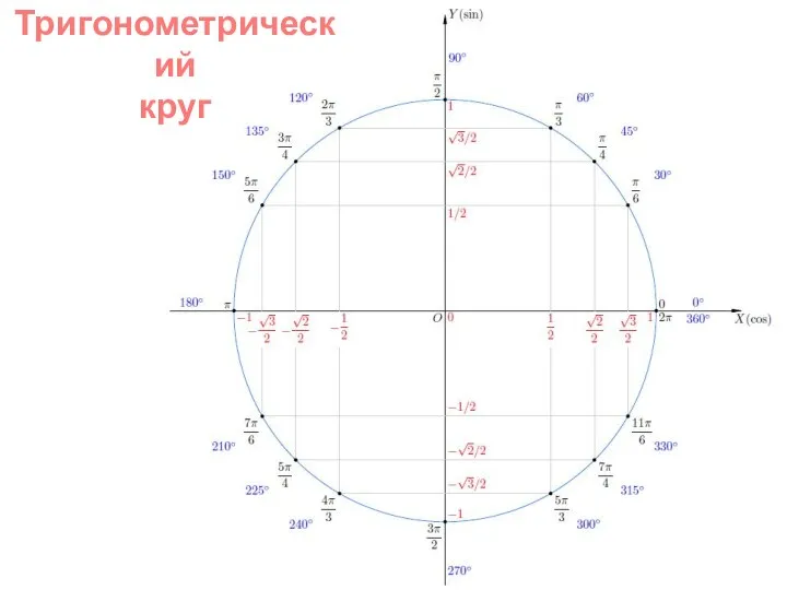 Тригонометрический круг