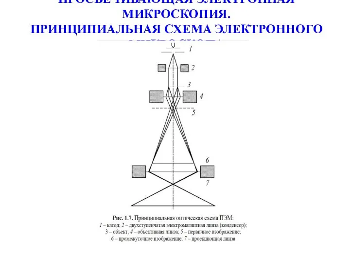 ПРОСВЕЧИВАЮЩАЯ ЭЛЕКТРОННАЯ МИКРОСКОПИЯ. ПРИНЦИПИАЛЬНАЯ СХЕМА ЭЛЕКТРОННОГО МИКРОСКОПА