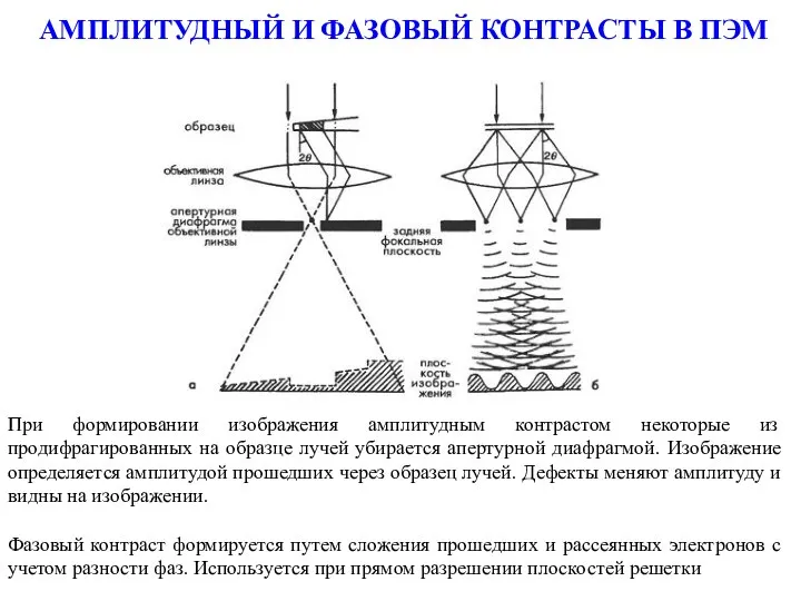 АМПЛИТУДНЫЙ И ФАЗОВЫЙ КОНТРАСТЫ В ПЭМ При формировании изображения амплитудным контрастом