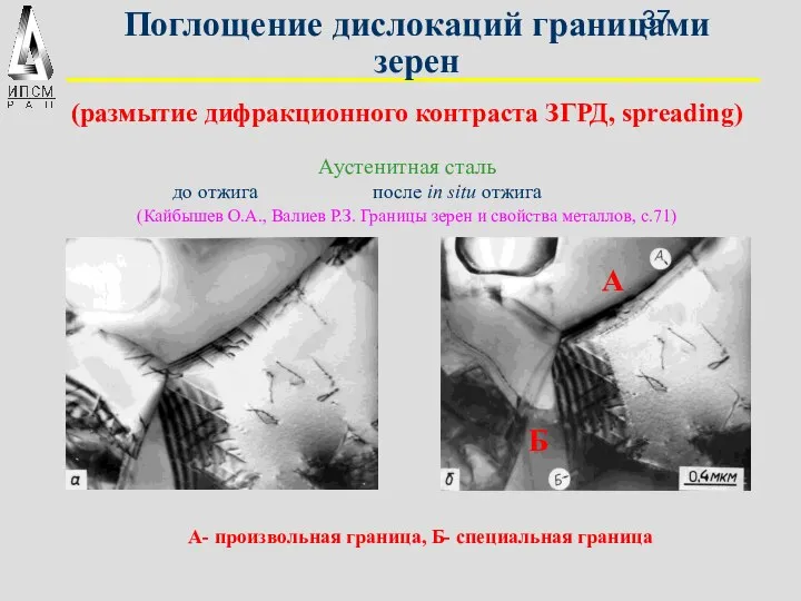 Поглощение дислокаций границами зерен Аустенитная сталь до отжига после in situ