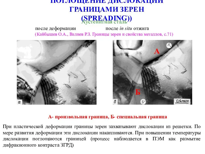 ПОГЛОЩЕНИЕ ДИСЛОКАЦИЙ ГРАНИЦАМИ ЗЕРЕН (SPREADING)) Аустенитная сталь после деформации после in