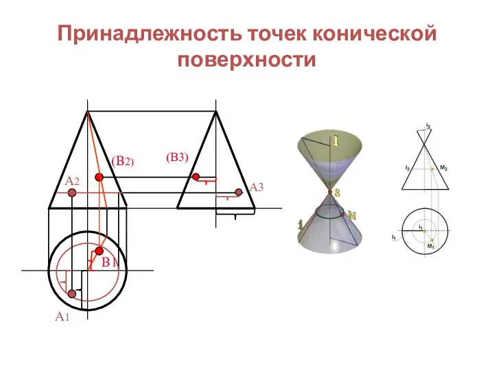 Принадлежность точек конической поверхности А2 А1 (В2) В1 (В3) А3