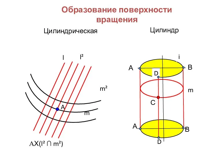 Образование поверхности вращения Цилиндрическая l m A l² m² ΑX(l² ∩