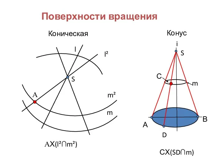 Поверхности вращения Коническая S l m m² l² Α ΑX(l²∩m²) Конус