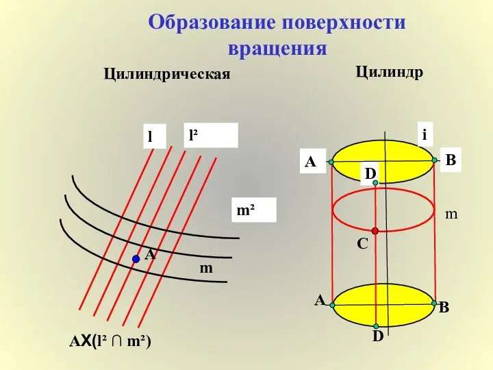 Образование поверхности вращения Цилиндрическая l m A l² m² ΑX(l² ∩