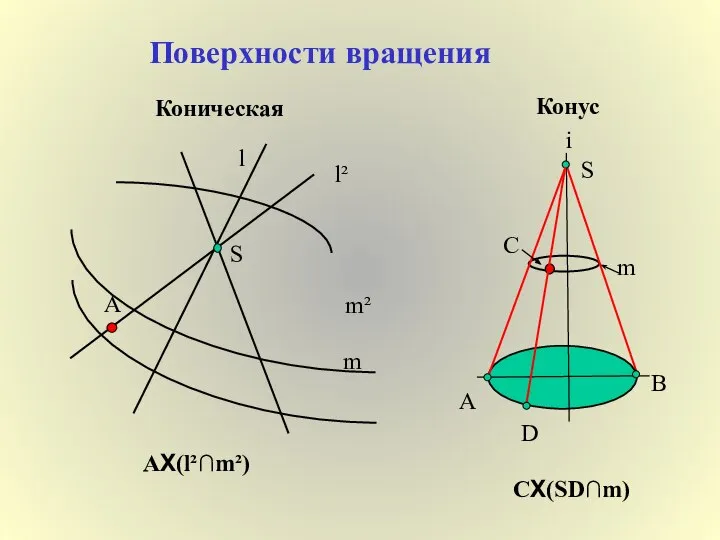 Поверхности вращения Коническая S l m m² l² Α ΑX(l²∩m²) Конус