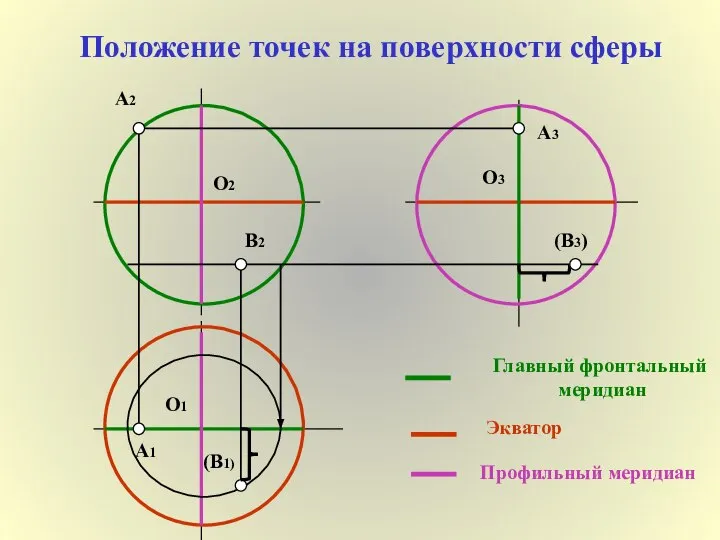 Положение точек на поверхности сферы Главный фронтальный меридиан Профильный меридиан Экватор