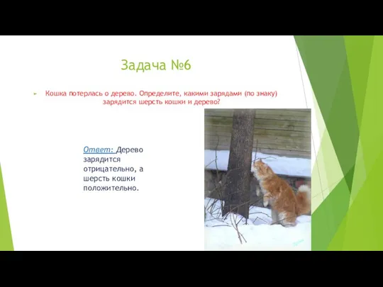 Задача №6 Кошка потерлась о дерево. Определите, какими зарядами (по знаку)