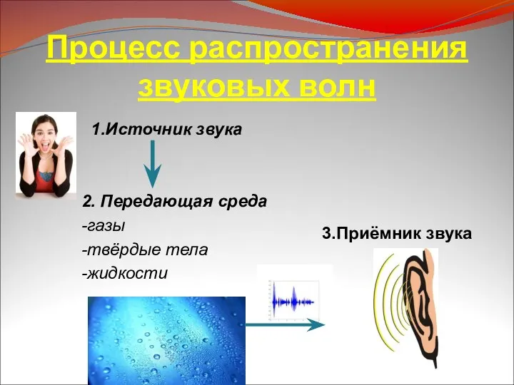 Процесс распространения звуковых волн 1.Источник звука 3.Приёмник звука 2. Передающая среда -газы -твёрдые тела -жидкости