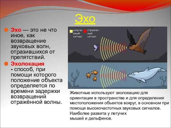 Эхо Эхо — это не что иное, как возвращение звуковых волн,