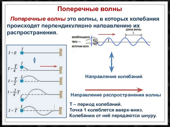 T – период колебаний. Точка 1 колеблется вверх-вниз. Колебания от неё