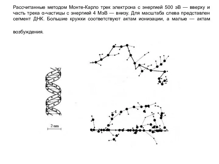 Рассчитанные методом Монте-Карло трек электрона с энергией 500 эВ — вверху