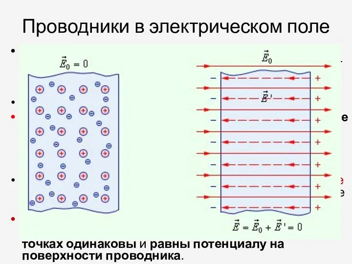 Проводники в электрическом поле Основная особенность проводников – наличие свободных зарядов