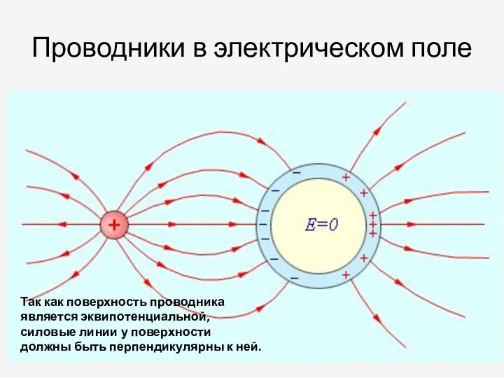 Проводники в электрическом поле Все внутренние области проводника, внесенного в электрическое