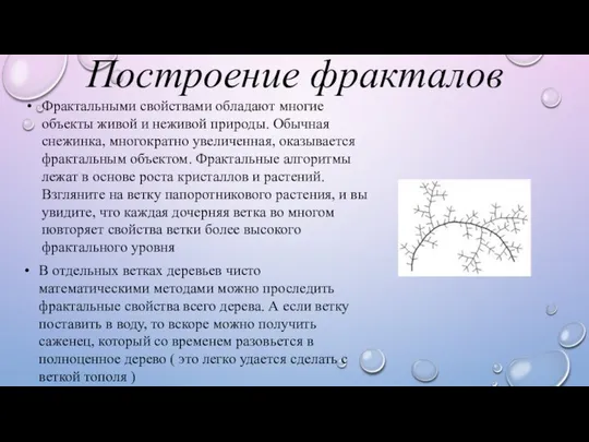 Построение фракталов Фрактальными свойствами обладают многие объекты живой и неживой природы.