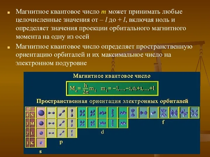 Магнитное квантовое число m может принимать любые целочисленные значения от –