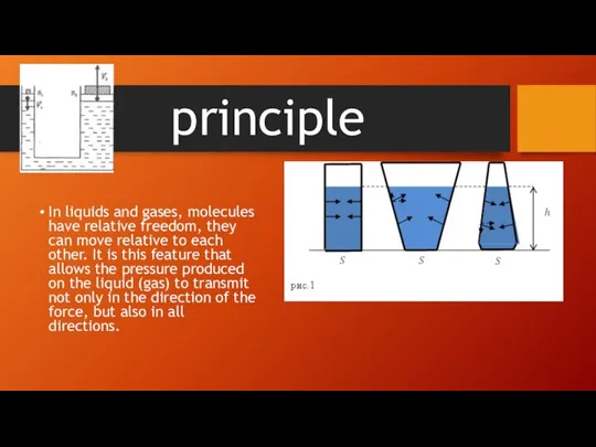 principle In liquids and gases, molecules have relative freedom, they can