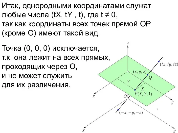 Итак, однородными координатами служат любые числа (tX, tY , t), где