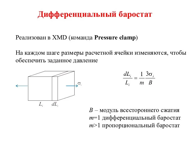 Дифференциальный баростат Реализован в XMD (команда Pressure clamp) На каждом шаге