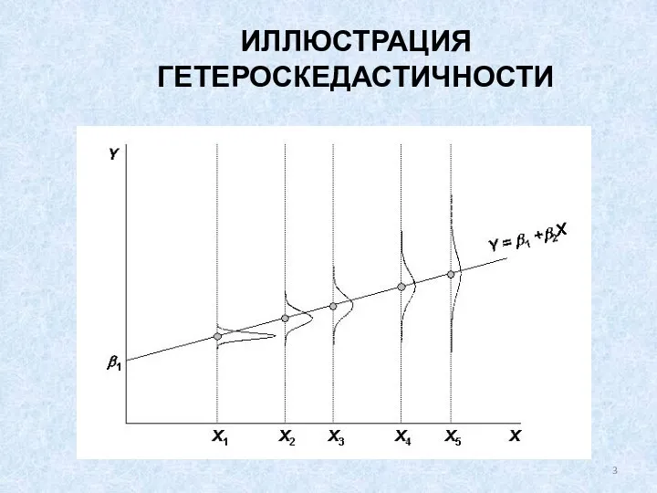 ИЛЛЮСТРАЦИЯ ГЕТЕРОСКЕДАСТИЧНОСТИ