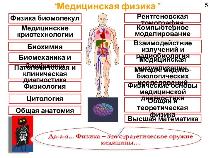 5 “Медицинская физика”