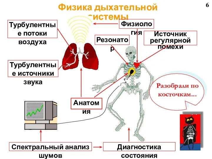 6 Физика дыхательной системы