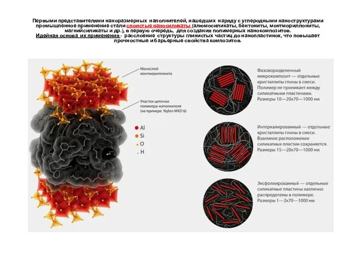 Первыми представителями наноразмерных наполнителей, нашедших наряду с углеродными наноструктурами промышленное применение