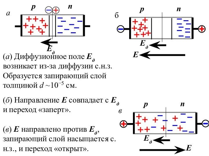 (а) Диффузионное поле Ед возникает из-за диффузии с.н.з. Образуется запирающий слой