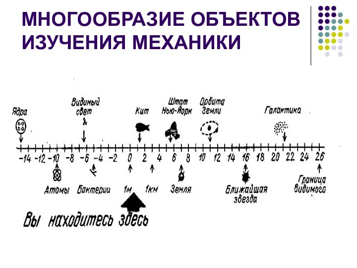 МНОГООБРАЗИЕ ОБЪЕКТОВ ИЗУЧЕНИЯ МЕХАНИКИ