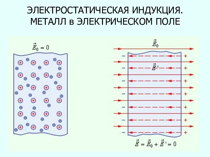 ЭЛЕКТРОСТАТИЧЕСКАЯ ИНДУКЦИЯ. МЕТАЛЛ в ЭЛЕКТРИЧЕСКОМ ПОЛЕ