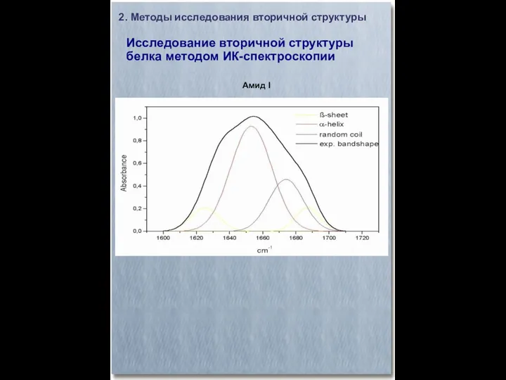2. Методы исследования вторичной структуры Исследование вторичной структуры белка методом ИК-спектроскопии Амид I