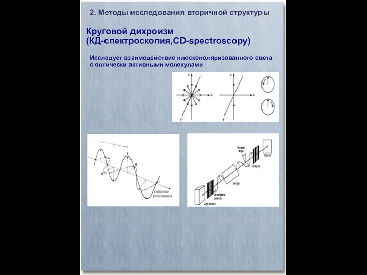 Круговой дихроизм (КД-спектроскопия,CD-spectroscopy)‏ 2. Методы исследования вторичной структуры Исследует взаимодействие плоскополяризованного света с оптически активными молекулами